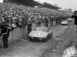 24 heures du Mans 1964 - Cobra-Daytona #5 - Pilotes : Dan Gurney / Bob Bondurant - 4ème
