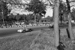 24 heures du Mans 1964 - Ferrari 330P #15 - Pilotes : Pedro Rodriguez / Skip Hudson - Abandon24 heures du Mans 1964 - Ferrari 330P #15 - Pilotes : Pedro Rodriguez / Skip Hudson - Abandon